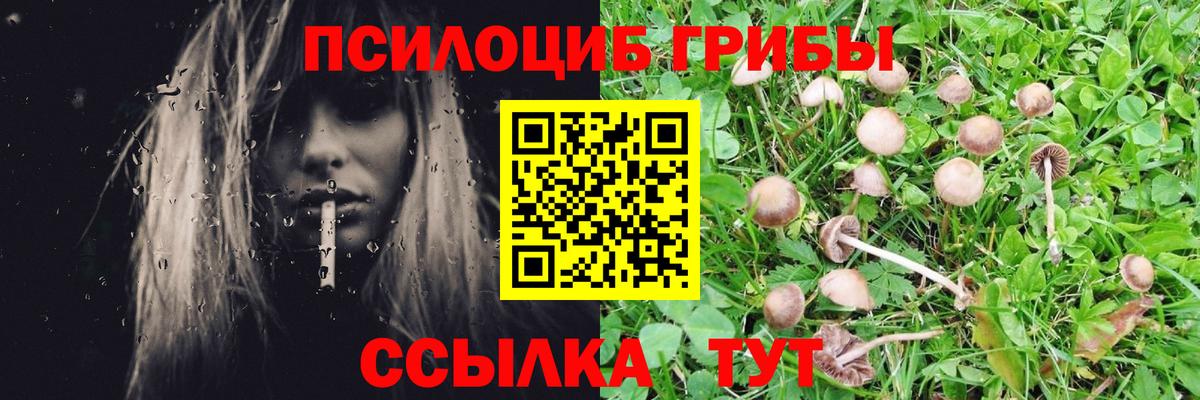 Галлюциногенные грибы Cubensis  где найти наркотики  Ачинск  Псилоцибиновые грибы Psilocybe  Вход с VPN 